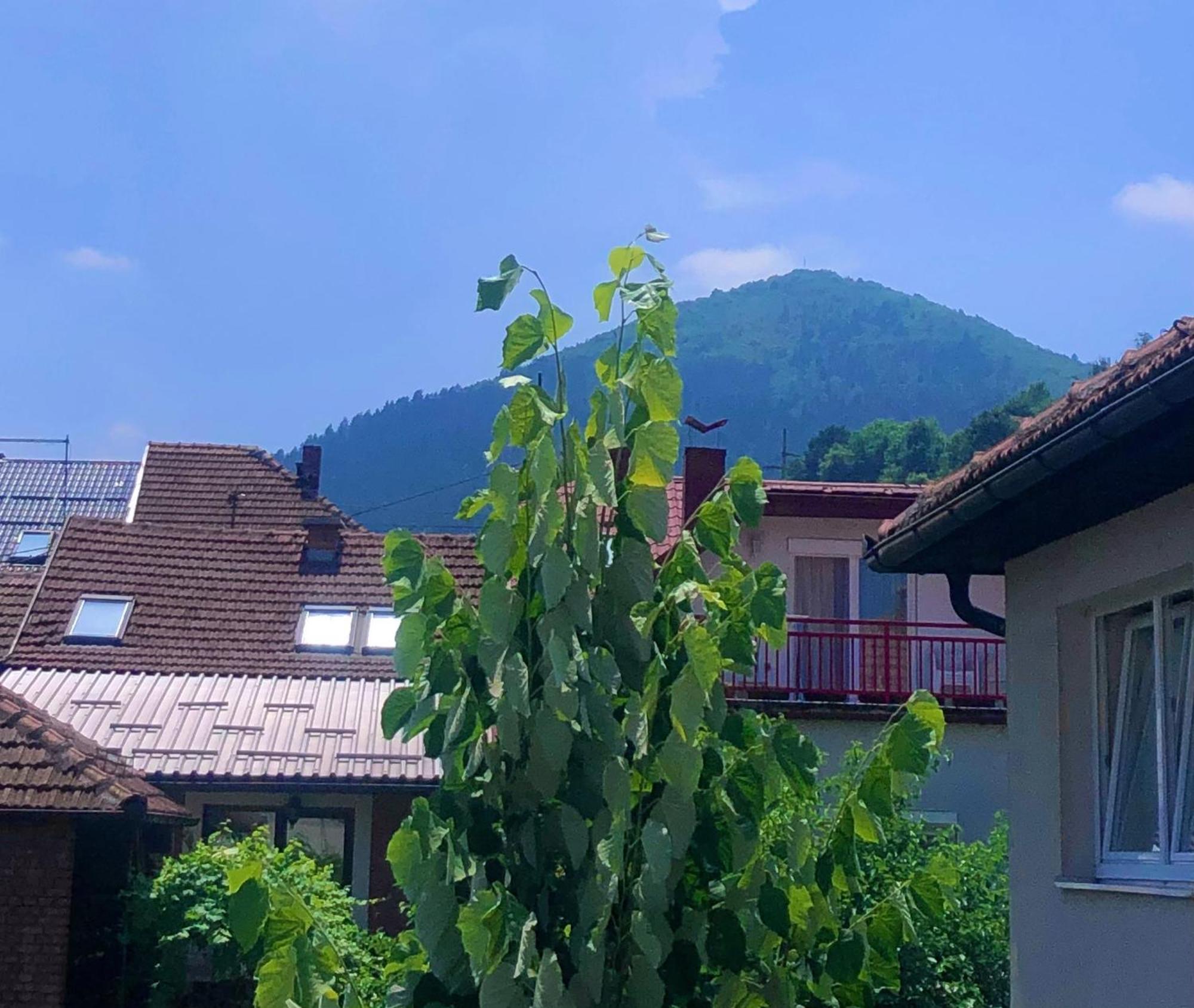 Apartman Balkan Високо Экстерьер фото